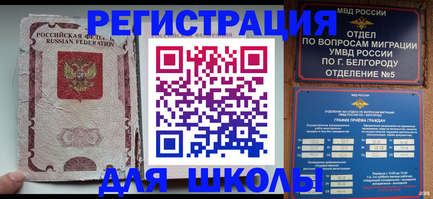 прописка гарантия в Красновишерске